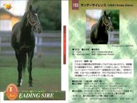 カード まとめ 競馬 サラブレッドカード 馬 ノーザンテースト ダンシングブレーヴ サンデーサイレンス トニービン ドクターデヴィアス トウカイテイオー ミュージックタイム サムネイル 5