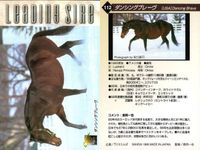 カード まとめ 競馬 サラブレッドカード 馬 ノーザンテースト ダンシングブレーヴ サンデーサイレンス トニービン ドクターデヴィアス トウカイテイオー ミュージックタイム サムネイル 4