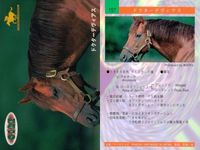 カード まとめ 競馬 サラブレッドカード 馬 ノーザンテースト ダンシングブレーヴ サンデーサイレンス トニービン ドクターデヴィアス トウカイテイオー ミュージックタイム サムネイル 8
