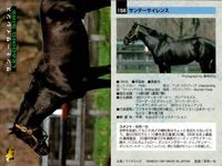 カード まとめ 競馬 サラブレッドカード 馬 ノーザンテースト ダンシングブレーヴ サンデーサイレンス トニービン ドクターデヴィアス トウカイテイオー ミュージックタイム サムネイル 6