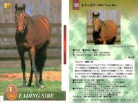 カード まとめ 競馬 サラブレッドカード 馬 ノーザンテースト ダンシングブレーヴ サンデーサイレンス トニービン ドクターデヴィアス トウカイテイオー ミュージックタイム サムネイル 7