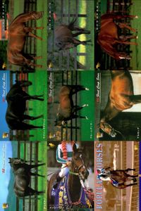 カード まとめ 競馬 サラブレッドカード 馬 ドクターディアス タイトスポット サラツカオー ウイニングチケット グルームダンサー アルカング ダミスター メジロパーマー カリブソング サムネイル 1