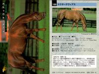 カード まとめ 競馬 サラブレッドカード 馬 ドクターディアス タイトスポット サラツカオー ウイニングチケット グルームダンサー アルカング ダミスター メジロパーマー カリブソング サムネイル 2