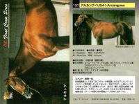 カード まとめ 競馬 サラブレッドカード 馬 ドクターディアス タイトスポット サラツカオー ウイニングチケット グルームダンサー アルカング ダミスター メジロパーマー カリブソング サムネイル 7