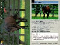 カード まとめ 競馬 サラブレッドカード 馬 ドクターディアス タイトスポット サラツカオー ウイニングチケット グルームダンサー アルカング ダミスター メジロパーマー カリブソング サムネイル 3