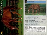 カード まとめ 競馬 サラブレッドカード 馬 ドクターディアス タイトスポット サラツカオー ウイニングチケット グルームダンサー アルカング ダミスター メジロパーマー カリブソング サムネイル 4