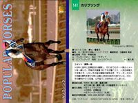 カード まとめ 競馬 サラブレッドカード 馬 ドクターディアス タイトスポット サラツカオー ウイニングチケット グルームダンサー アルカング ダミスター メジロパーマー カリブソング サムネイル 10