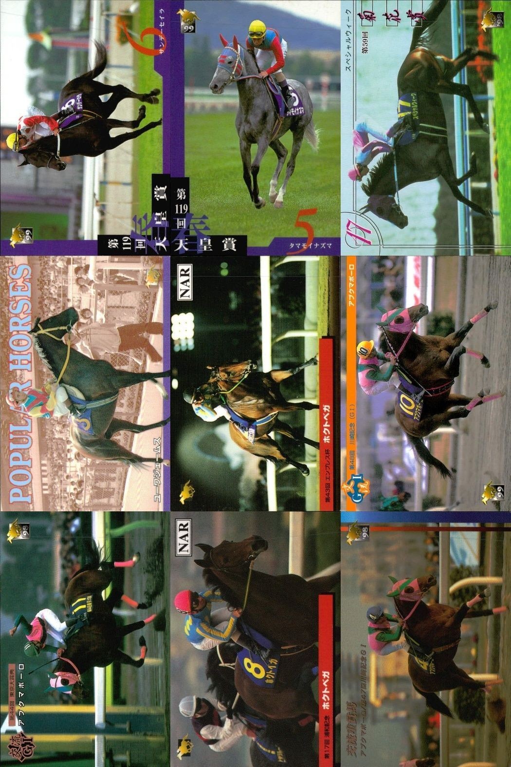 カード まとめ 競馬 サラブレッドカード 馬 サンデーセイラ タマモイナズマ スペシャルウィーク ユーワジェームス ホクトペガサス アブクマポーロ