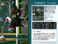カード まとめ 競馬 サラブレッドカード 馬 サンデーセイラ タマモイナズマ スペシャルウィーク ユーワジェームス ホクトペガサス アブクマポーロ サムネイル 8