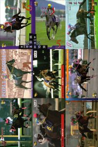 カード まとめ 競馬 サラブレッドカード 馬 サンデーセイラ タマモイナズマ スペシャルウィーク ユーワジェームス ホクトペガサス アブクマポーロ サムネイル 1