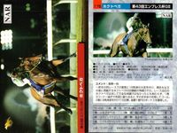 カード まとめ 競馬 サラブレッドカード 馬 サンデーセイラ タマモイナズマ スペシャルウィーク ユーワジェームス ホクトペガサス アブクマポーロ サムネイル 6