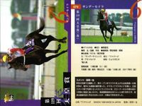 カード まとめ 競馬 サラブレッドカード 馬 サンデーセイラ タマモイナズマ スペシャルウィーク ユーワジェームス ホクトペガサス アブクマポーロ サムネイル 2