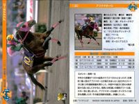 カード まとめ 競馬 サラブレッドカード 馬 サンデーセイラ タマモイナズマ スペシャルウィーク ユーワジェームス ホクトペガサス アブクマポーロ サムネイル 7