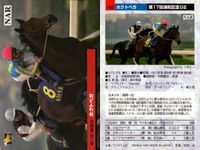 カード まとめ 競馬 サラブレッドカード 馬 サンデーセイラ タマモイナズマ スペシャルウィーク ユーワジェームス ホクトペガサス アブクマポーロ サムネイル 9