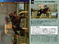 カード まとめ 競馬 サラブレッドカード 馬 サンデーセイラ タマモイナズマ スペシャルウィーク ユーワジェームス ホクトペガサス アブクマポーロ サムネイル 10