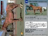 カード まとめ 競馬 サラブレッドカード 馬 メイセイオペラ ウィンテクロー タイキシャーロック ロバリーハート ニホンピロウイナー ナルシスノワール ヒカリデュール スプラッシュオブカラー サムネイル 10