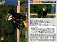 カード まとめ 競馬 サラブレッドカード 馬 メイセイオペラ ウィンテクロー タイキシャーロック ロバリーハート ニホンピロウイナー ナルシスノワール ヒカリデュール スプラッシュオブカラー サムネイル 5