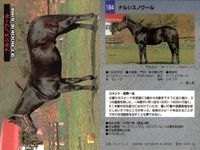 カード まとめ 競馬 サラブレッドカード 馬 メイセイオペラ ウィンテクロー タイキシャーロック ロバリーハート ニホンピロウイナー ナルシスノワール ヒカリデュール スプラッシュオブカラー サムネイル 8
