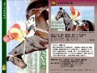 カード まとめ 競馬 サラブレッドカード 馬 メイセイオペラ ウィンテクロー タイキシャーロック ロバリーハート ニホンピロウイナー ナルシスノワール ヒカリデュール スプラッシュオブカラー サムネイル 9