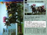 カード まとめ 競馬 サラブレッドカード 馬 メイセイオペラ ウィンテクロー タイキシャーロック ロバリーハート ニホンピロウイナー ナルシスノワール ヒカリデュール スプラッシュオブカラー サムネイル 4