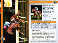 カード まとめ 競馬 サラブレッドカード 馬 メイセイオペラ ウィンテクロー タイキシャーロック ロバリーハート ニホンピロウイナー ナルシスノワール ヒカリデュール スプラッシュオブカラー サムネイル 3