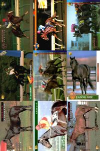 カード まとめ 競馬 サラブレッドカード 馬 メイセイオペラ ウィンテクロー タイキシャーロック ロバリーハート ニホンピロウイナー ナルシスノワール ヒカリデュール スプラッシュオブカラー サムネイル 1