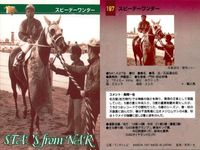カード まとめ 競馬 サラブレッドカード 馬 カミノクレッセ カリスタグローリ コンメンダトーレ ホスピタリティ スピーデーワンダー カツアール サムネイル 8