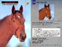 カード まとめ 競馬 サラブレッドカード 馬 カミノクレッセ カリスタグローリ コンメンダトーレ ホスピタリティ スピーデーワンダー カツアール サムネイル 2