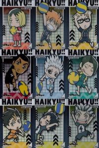 カード まとめ ハイキュー クリア 黒尾鉄朗 No.95 日向翔陽 No.90 月島蛍 No.93 尾白アラン No.105 木兎光太郎 No.106 大将優 No.100 西谷夕 No.92 赤葦京治 No.99 木兎光太郎 No.98 サムネイル 1