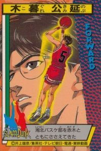 Slam Dunk Card Wafers Yasui Akagi Takeno SGPlayer Lotte