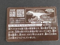 恐竜 ギガノトサウルス 明治 小学館の図鑑 NEO 恐竜 アルゼンチン サムネイル 2