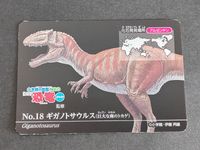 恐竜 ギガノトサウルス 明治 小学館の図鑑 NEO 恐竜 アルゼンチン サムネイル 1