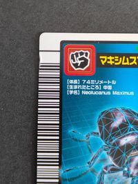 ムシキング 036-P[パラレル]：マキシムスマルバネクワガタ パラレルコレクション サムネイル 2