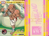 カード ストリートファイター カードダス まとめ No.91 サガット No.70 リュウ No.96 リュウ No.101 ダルシム サムネイル 2