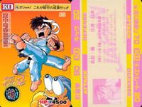 カード ストリートファイター カードダス まとめ No.91 サガット No.70 リュウ No.96 リュウ No.101 ダルシム サムネイル 3