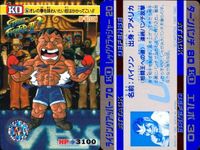 カード ストリートファイター カードダス まとめ No.30 サガット No.31 ガイル No.34 ブランカ No.30 ベガ サムネイル 5