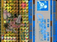 カード ストリートファイター カードダス まとめ チュンリー 春麗 キラ レア No.11 目にも止まらぬ速技と柔軟な打撃!! 春麗 No.13 甘く見てるとケガするわよ・くらえ気合のキック!! サムネイル 2