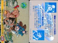 カード ストリートファイター カードダス まとめ チュンリー 春麗 キラ レア No.11 目にも止まらぬ速技と柔軟な打撃!! 春麗 No.13 甘く見てるとケガするわよ・くらえ気合のキック!! サムネイル 3