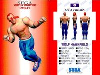 セガフリークス カード まとめ SEGA FREAKS 24 パンツァードラグーン ツヴァイ ドラゴンバビー 6 wolf hawkfield 33 ナイツ 36 ナイトピアン サムネイル 3