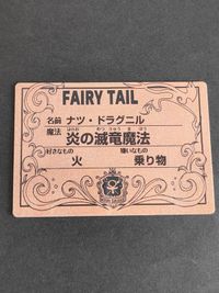 フェアリーテイル 魔導士カード 名刺 真島ヒロ ナツ・ドラグニル サムネイル 2