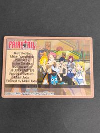 フェアリーテイル 魔導士カード 真島ヒロ ナツ エルザ ルーシィ グレイ サムネイル 2
