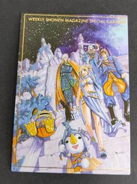 RAVE レイヴ カード 真島ヒロ コナミ KONAMI RAVE レイヴ トレーディングカード SP 週刊少年マガジン 非売品 SP5 エリー シバ ハル プルー
