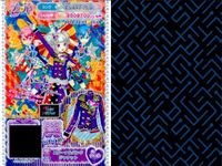 カード まとめ プリパラ プリチケ SR スパーキング☆ トップス R フルーツメロン シューズ PR エターナルバンク ジャケット CR グリーンシフォンヒール フラワーメレントップス サムネイル 7