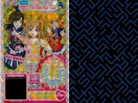 カード まとめ プリパラ プリチケ SR フラワーガーデン ロゼトップス N フレッシュポップ ローファー R チーキーリトル シグナルセット サムネイル 5