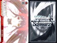 カード まとめ ヴァイスシュヴァルツ デートアライブ CR もう絶対に離さない DAL CR 受け入れた力 封解主〔敵〕 家族になった瞬間 母なる霊 救済の輪廻 の切り札 原稿に込める想い 不敵な笑み ヴァイス サムネイル 7