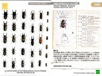 手塚治虫 コレクションカード まとめ 2000 透明人間 地底国の怪人 キングロケット 森の四剣士 ロックホーム冒険記 仮面の冒険児 昆虫図鑑 096 097 089 090 091 093 094 086 087 サムネイル 9