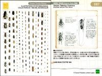 手塚治虫 コレクションカード まとめ 2000 透明人間 地底国の怪人 キングロケット 森の四剣士 ロックホーム冒険記 仮面の冒険児 昆虫図鑑 096 097 089 090 091 093 094 086 087 サムネイル 10