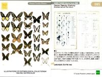 手塚治虫 コレクションカード まとめ 2000 流線型事件 おやじの宝島 ロマンス島 昆虫図鑑 河川汽車 ママ探偵物語 088 082 083 084 085 086 087 079 080 サムネイル 6