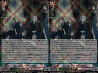 Cardfight Vanguard Card Lot EXRRR Anime Rare