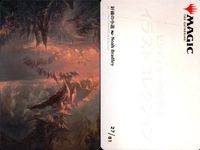 カード まとめ MTG アートカード 海門の旗騎士 轟く叱責 変遷の泉 帆凧の僧侶 針緑の小道 虹色の眺望 タジームの乱動魔道士 島 群れのシャンブラー サムネイル 6